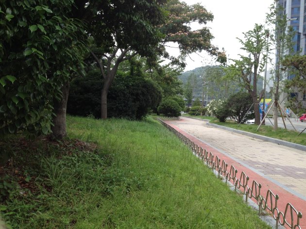 釜山オリンピック公園の散策路